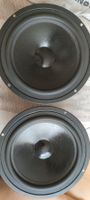 2x Mitteltoner 160mm MB Quart