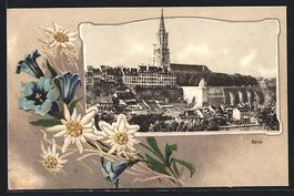 AK Bern, Ortsansicht mit Münster, 1908