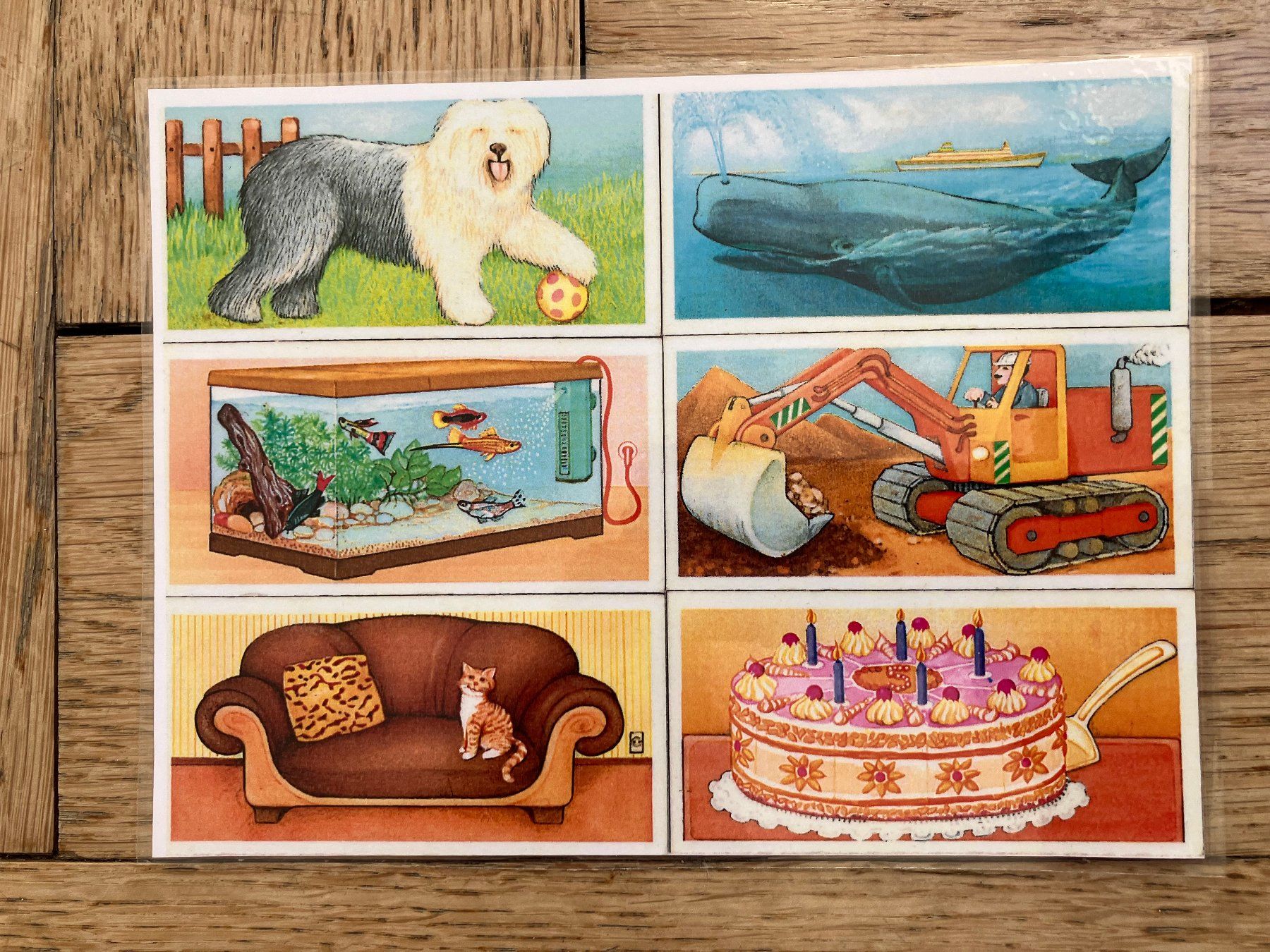 Ravensburger Giochi: Koffer packen – Usato da Bern venduto da korpuskel 7