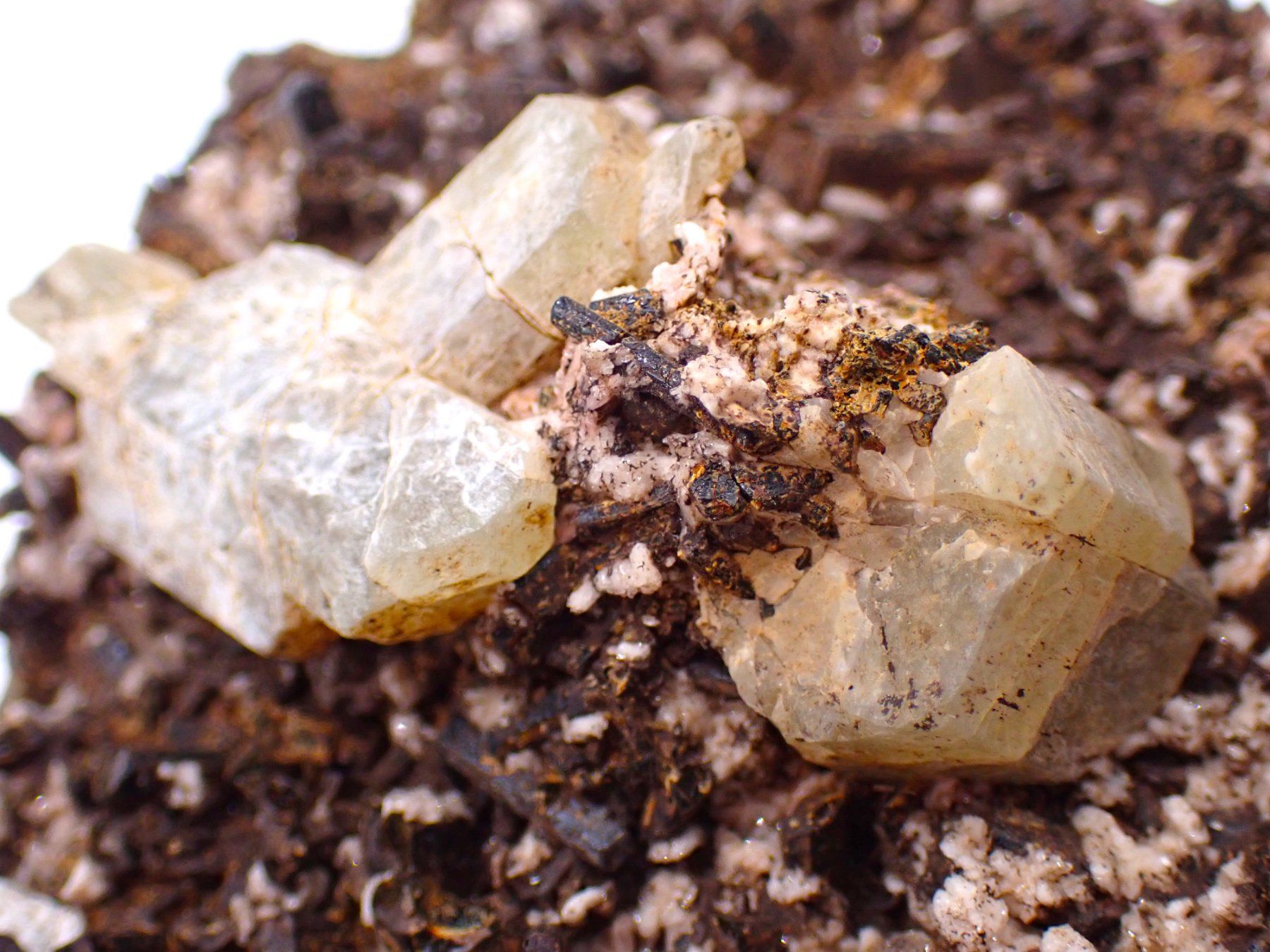 Minerali & Pietre curative: Lustrous, Yellow Apatite Crystals - Morocco – Usato da Figino venduto da minshop 3