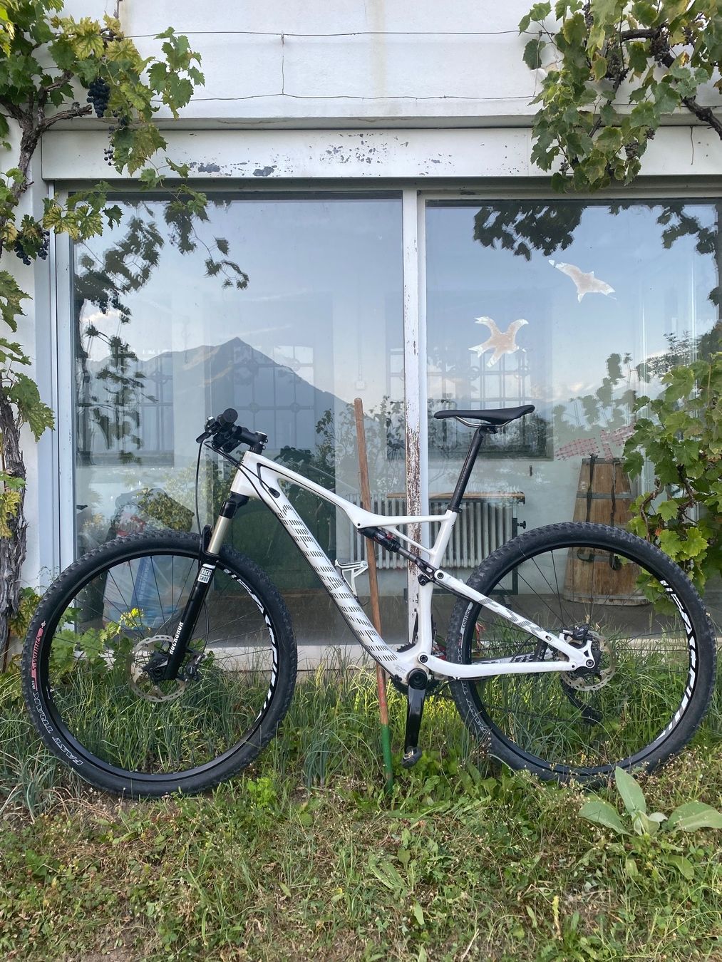 Specialized Velos: Specialized 2014 Epic Comp Carbon 29 – Gebraucht aus Bern von