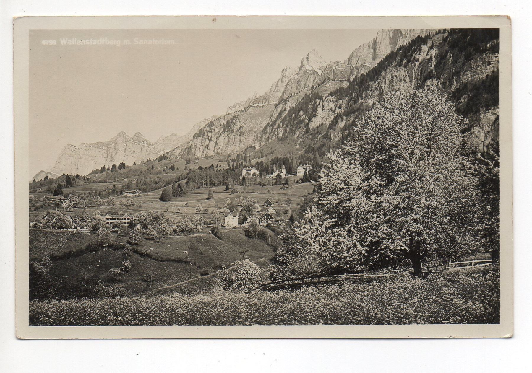 Cartoline postali: WALENSTADTBERG Nr. 4798 – Usato da Jona venduto da philajona