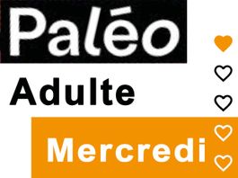 Paleo Festival Mercredi 22 juillet - Billet Adulte