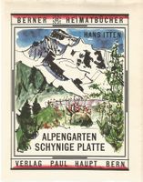 Alpengarten Schynige Platte 1955
