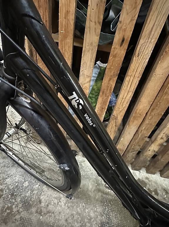 Velos: TDS Bicicletta cambio Nexus – Gebraucht aus lugano von Ggav 4