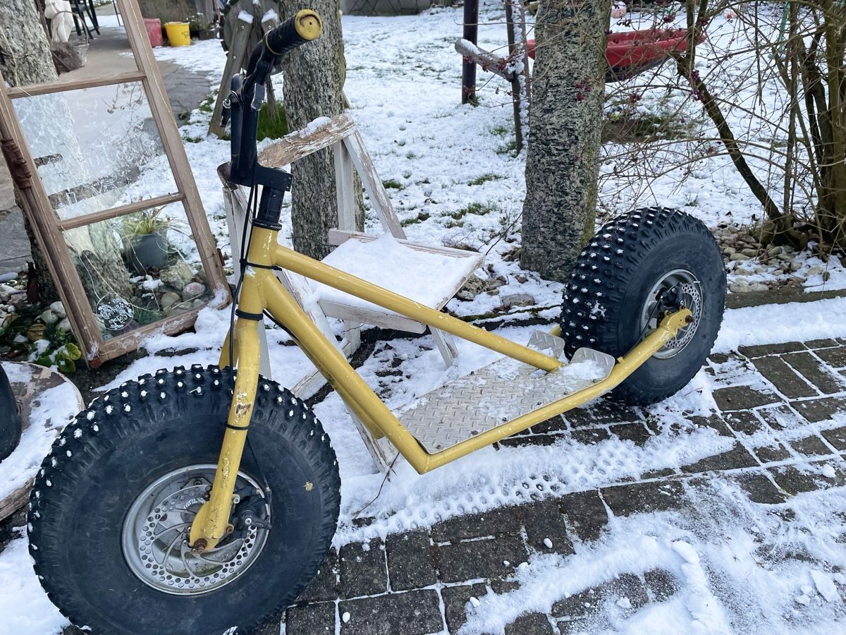 Kickboard: Aktion, 2 Stück, selten, Monster Roller Scooter Trottinette – Gebraucht aus Heimenhausen von Bufnof 3