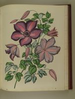 BUCH DER WELT 1861, 48 TAFELN STAHLSTICHE & LITHOGRAPHIEN