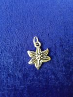 Klein aber fein! Silbrige Edelweiss - Blume als Anhänger