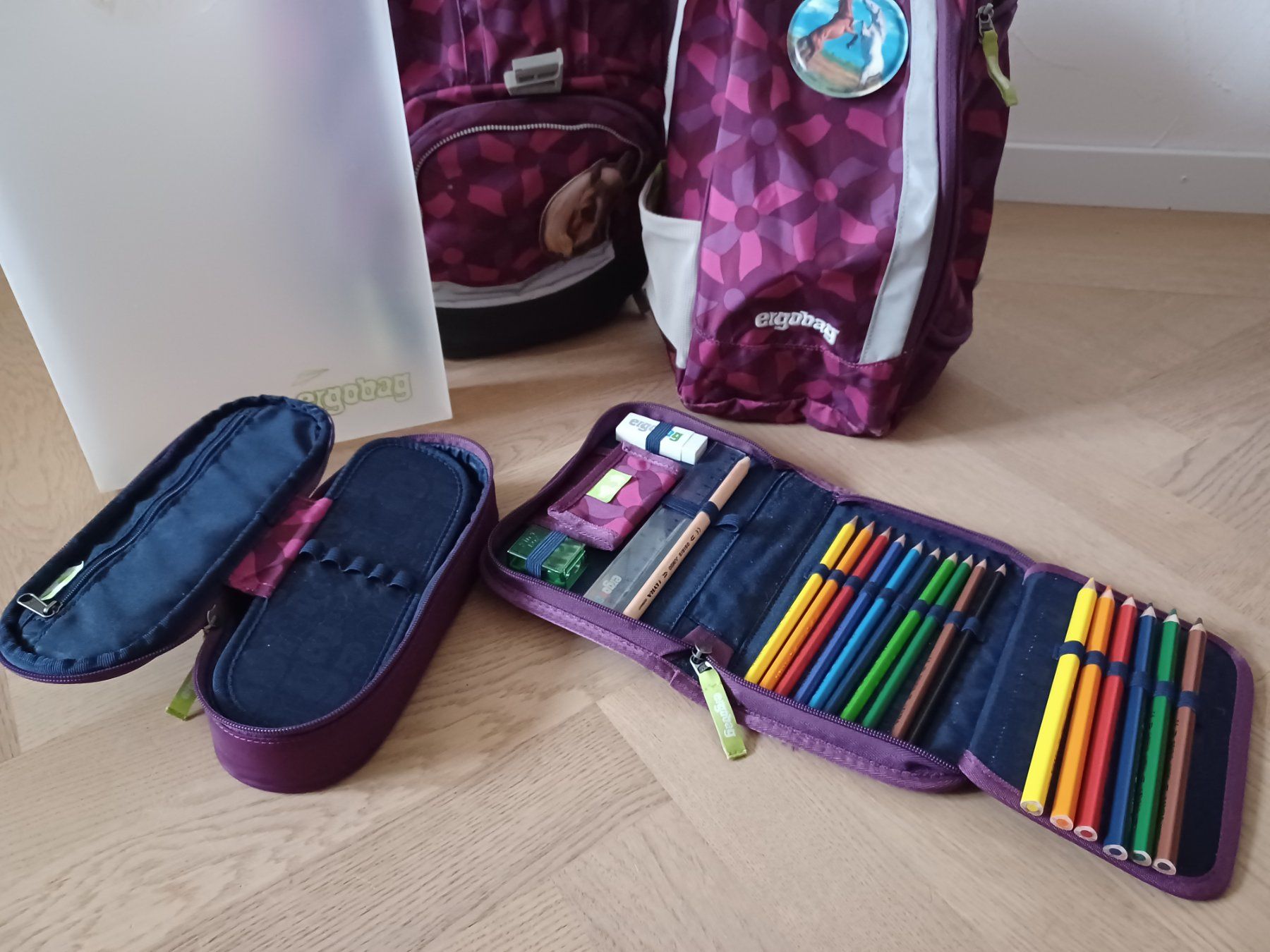 Ergobag Sacs & sacs à dos: Ergobag Schulthek – D'occasion à Obfelden par K760 3