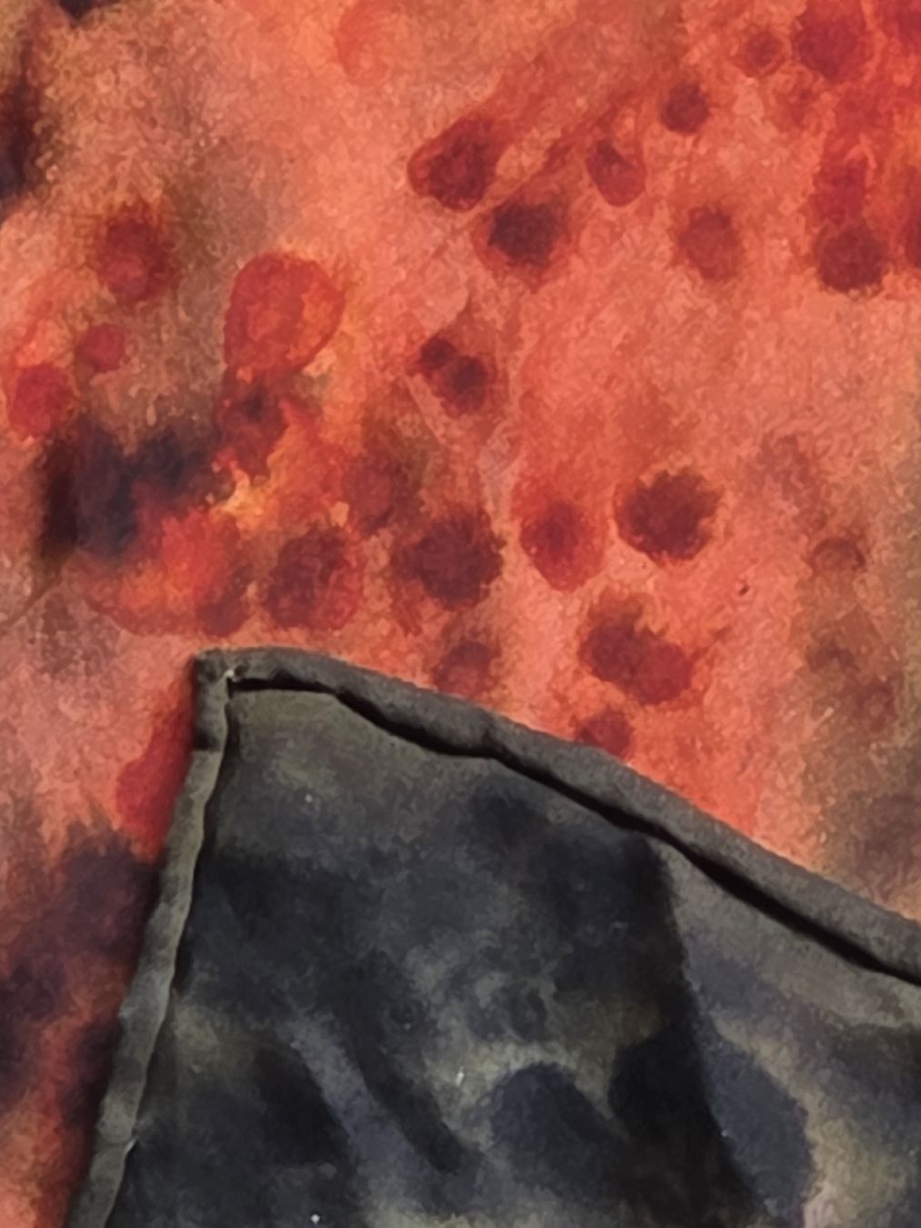 Foulard & Sciarpe: Seidenfoulard 90x90 – Nuovo (secondo la descrizione) da Frauenfeld venduto da Schenken-mit-Herz 3