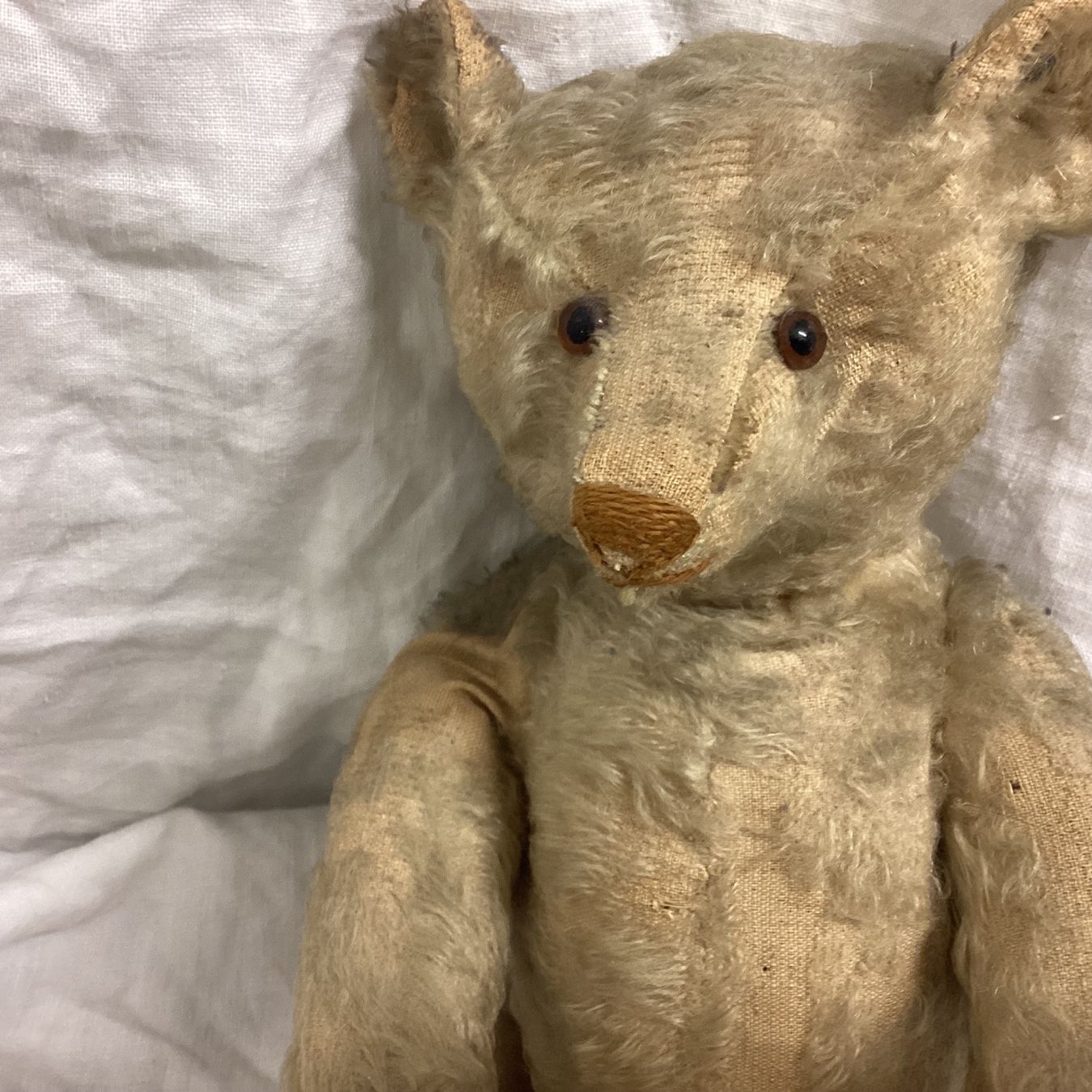 Steiff Spielzeuge: STEIFF TEDDY VON 1908/1912 SEHR SELTEN – Gebraucht aus Münchenstein von NoSu98 2