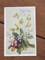 Vintage Osterkarte, "Joyeuses Pâques", Top Zustand! 48