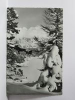 St. Moritzsee mit Piz Lanquard 1967