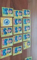 Panini Sticker Konvolut Fussball Bosnien Spieler