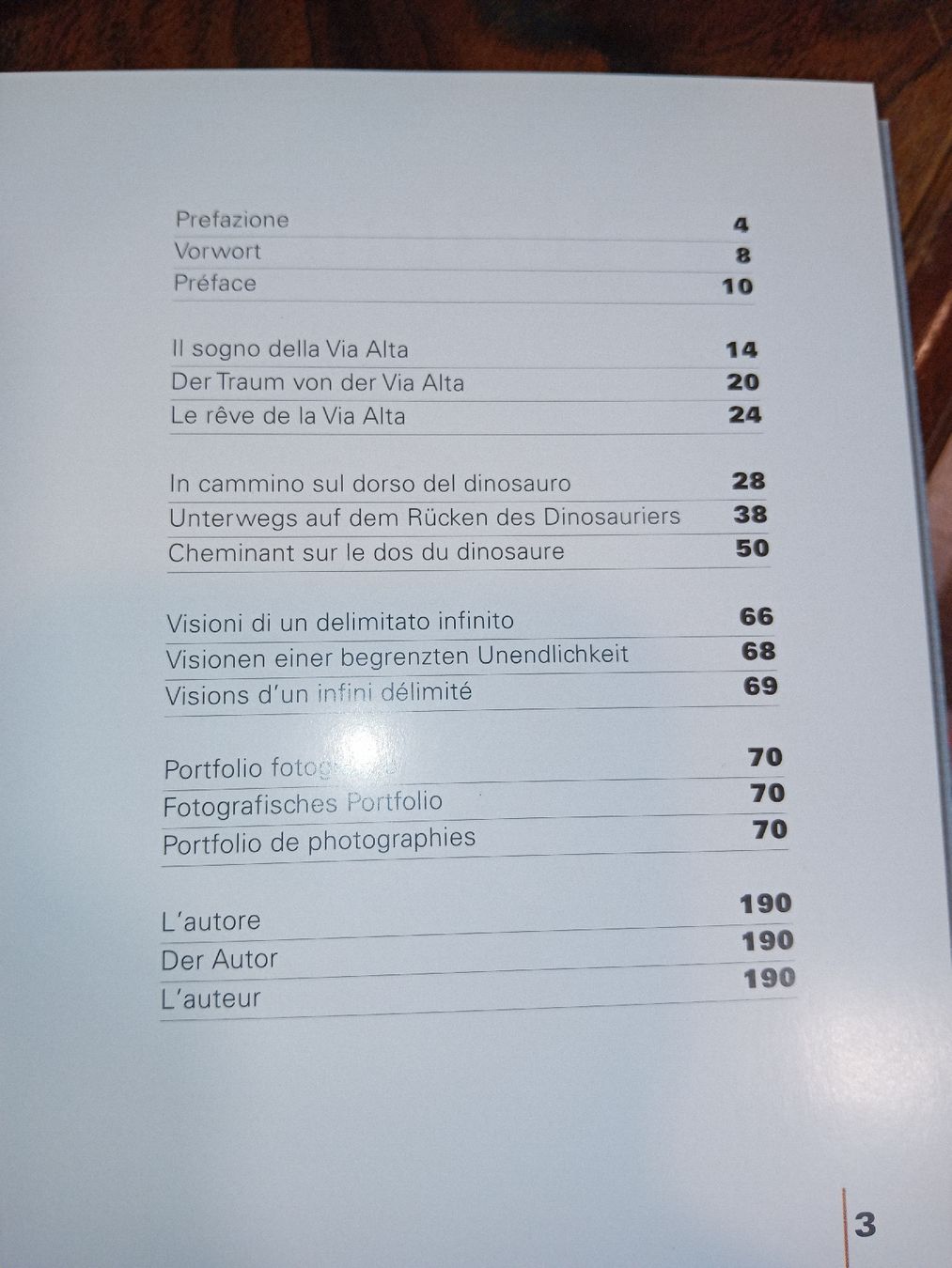 Libri: Libro Via Alta della Vallemaggia  – Usato da Biasca venduto da Old_6blh 5
