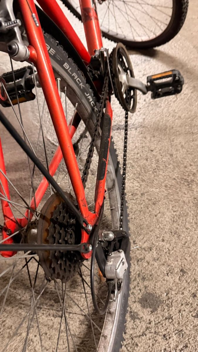 Raleigh Biciclette: Raleigh Velo – Usato da Bern venduto da blackshiri 2