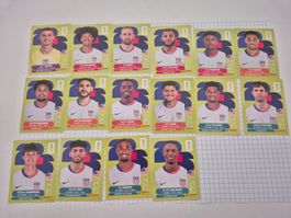WM Panini Sticker 2026 Team USA