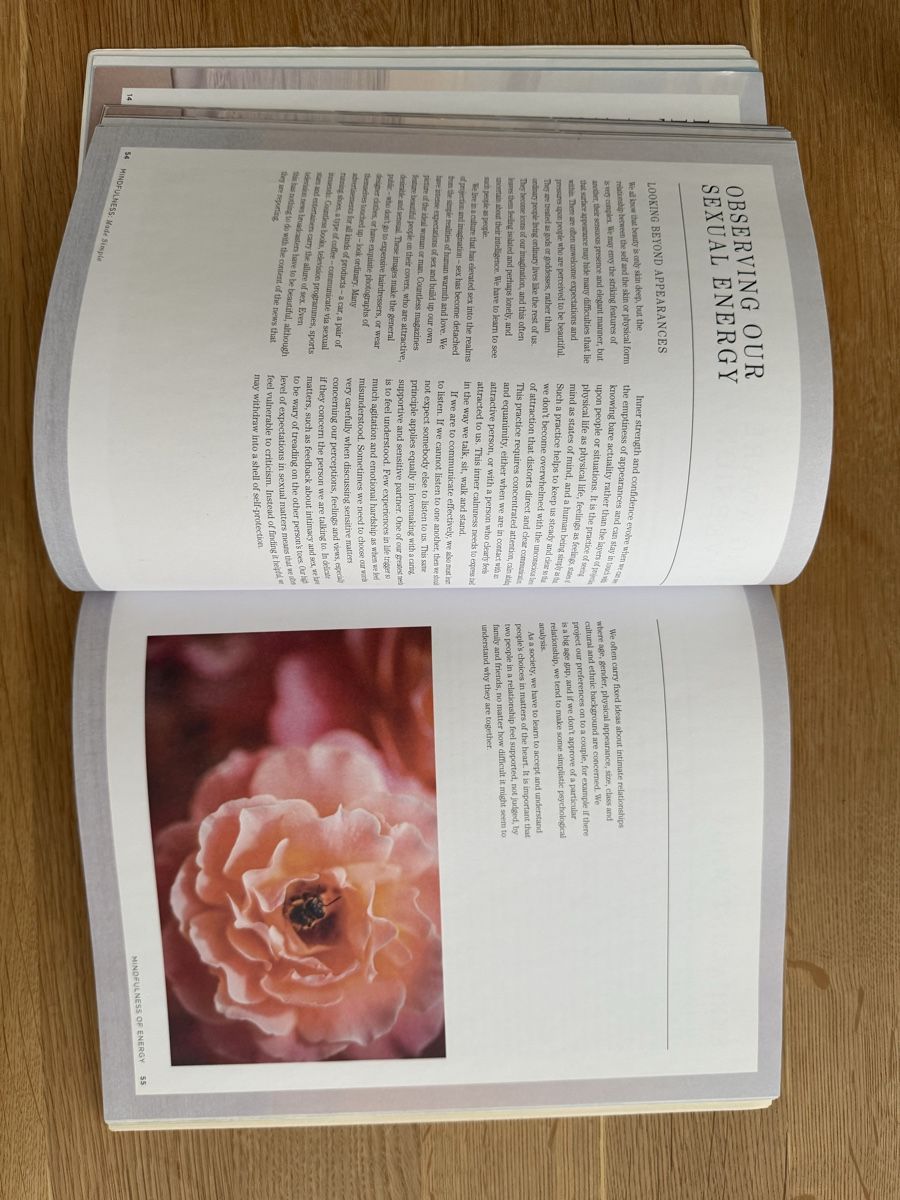 Libri: Pause – Mindfulness Made Simple  – Usato da Luzern venduto da eli_b9zg 2