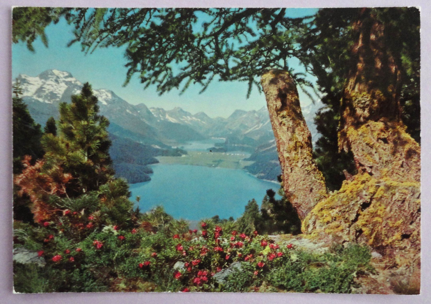 Cartes postales: Blick auf das Oberengadin – D'occasion à Fétigny par Billy2miny