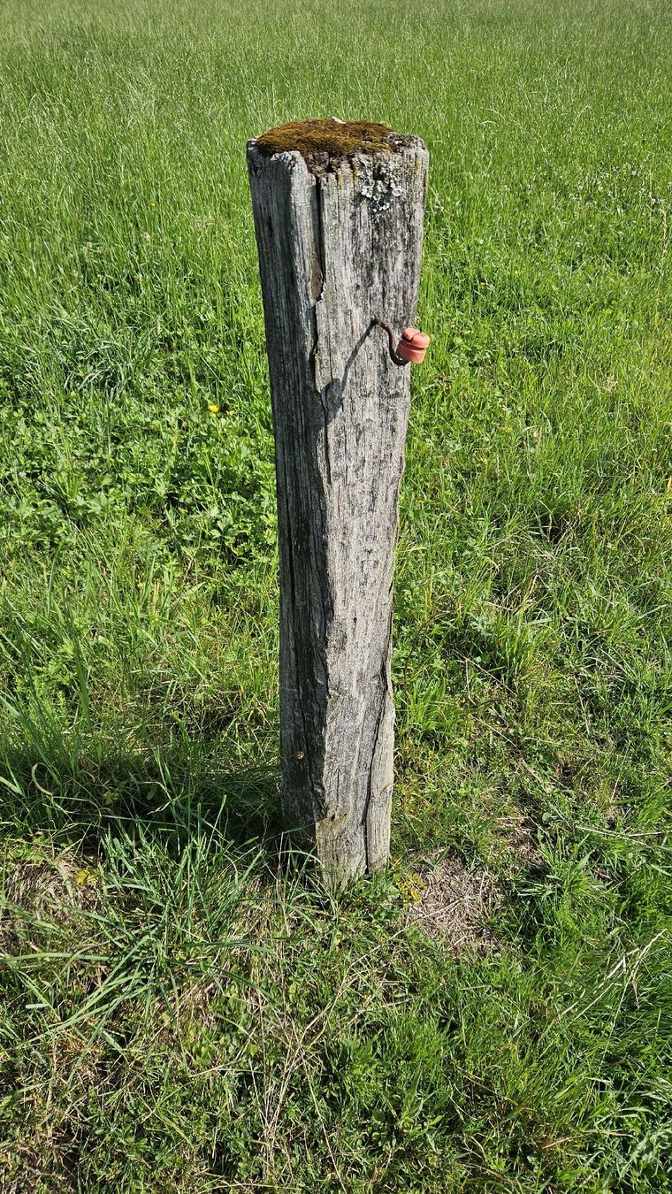 Holzartikel: Eisenbahnschwellen aus Holz – Gebraucht aus Wetzikon ZH von Fagus