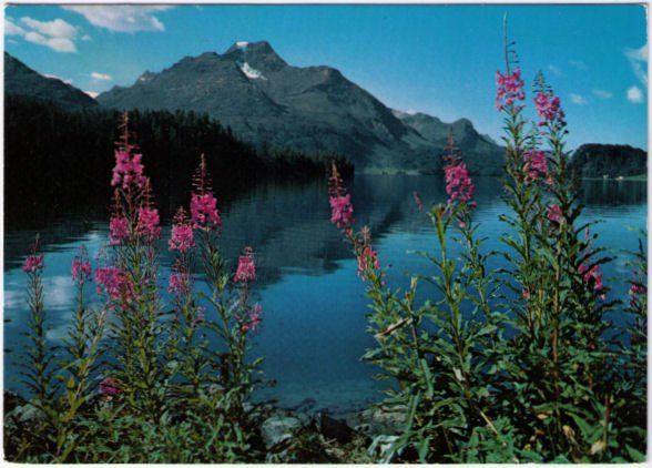 Cartoline postali: Am Silsersee – Usato da Binningen venduto da Mountainrider