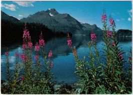 Am Silsersee
