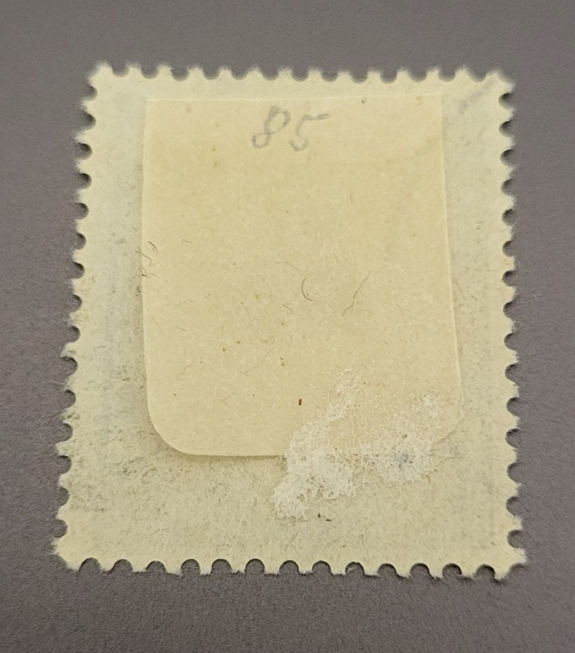 Tutti i francobolli: Neukaledonien 1905 Vogel alte briefmarke – Usato da St Gallen venduto da Stampsalshobby 1