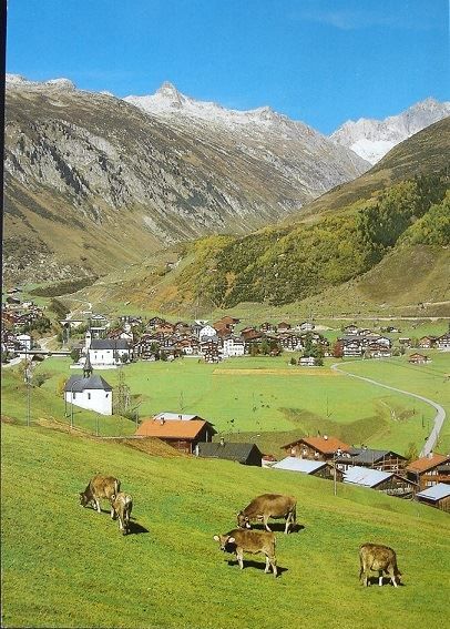 Cartoline postali: SEDRUN (Tujetsch) Kühe – Usato da Jona venduto da philajona