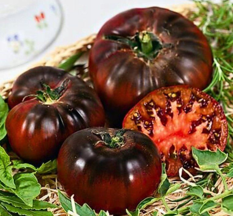 Pflanzen & Samen: Tomate Black Prince / 5 Samen – Neu (gemäss Beschreibung) aus Hinteregg von ERFOLG78 2