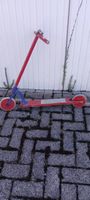 antikes "kickboard" aus den 50er jahren in original zustand