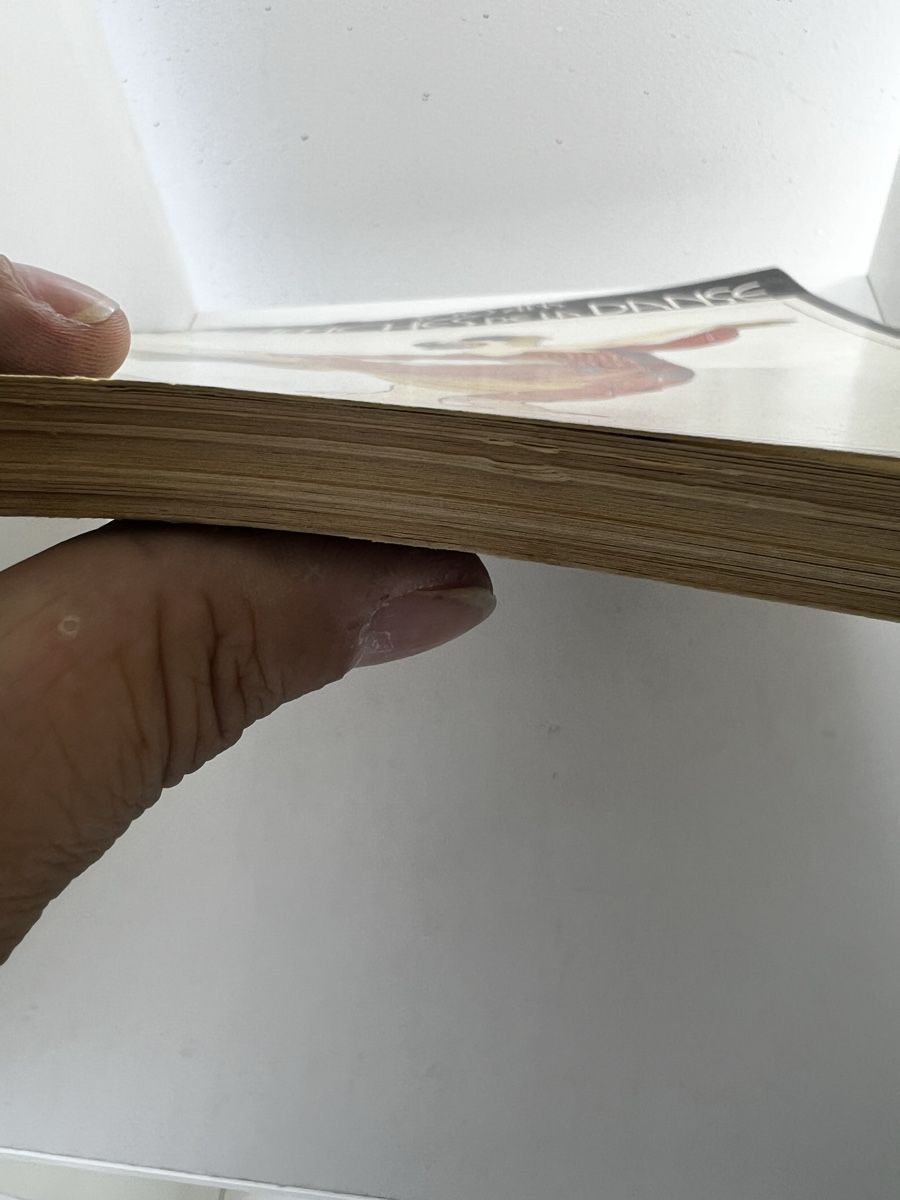 Libri: 100 Ans D‘Afiche de la Danse Posterformat – Usato da Wettingen venduto da NickInc 7