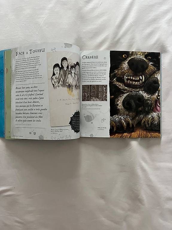 Libri: Livre Harry Potter  – Usato da Chavannes-des-Bois venduto da dvergani 3