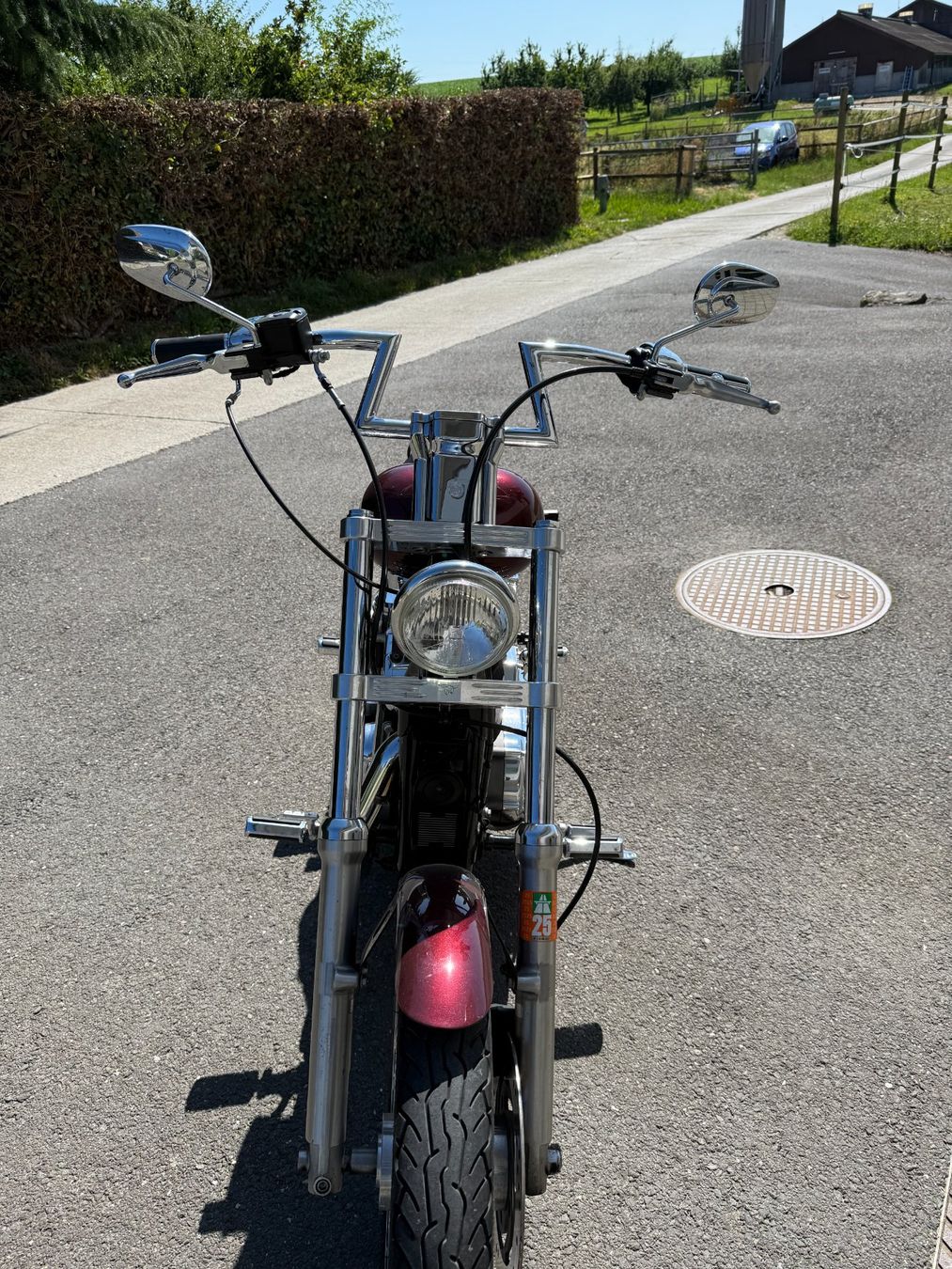 Harley-Davidson Altro: Harley Davidson XL53C – Usato da Eclagnens venduto da Vialli 2