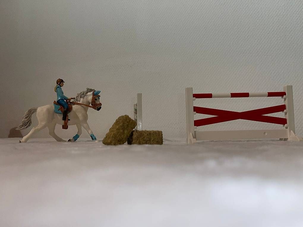 Giocattoli: Schleich 42190 Turnierset – Usato da Oberwil b. Zug venduto da ostermann81 2