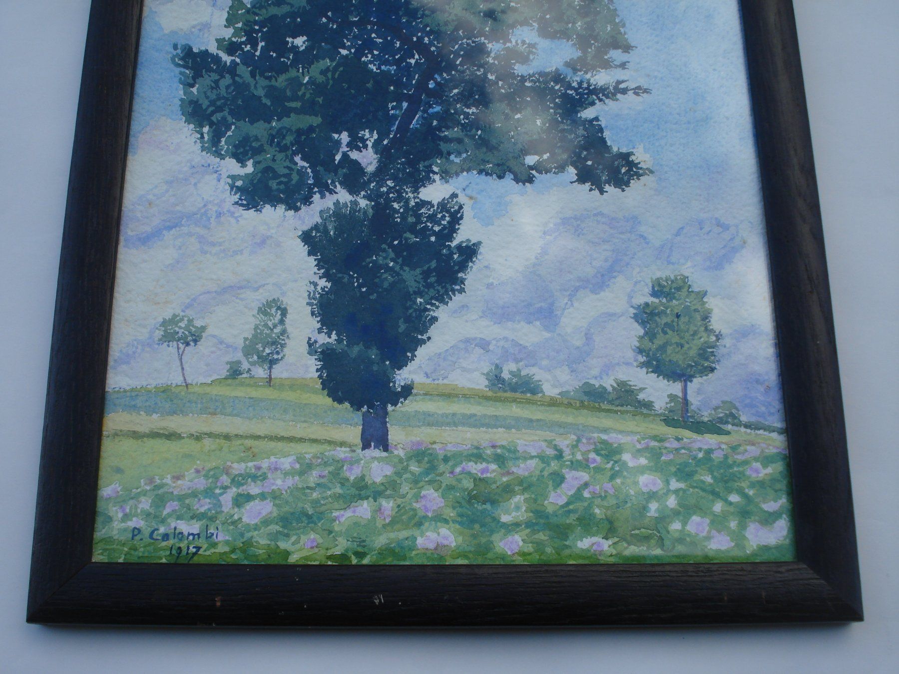 Dipinti: Plinio Colombi 1873-1951 – Usato da Basel venduto da art.basel 2