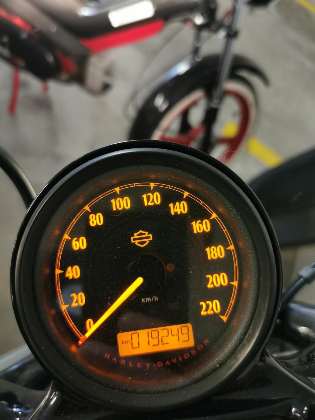 Harley-Davidson Cruisers: Harley Davidson XL1200X – D'occasion à Dietwil par M.H.87 4