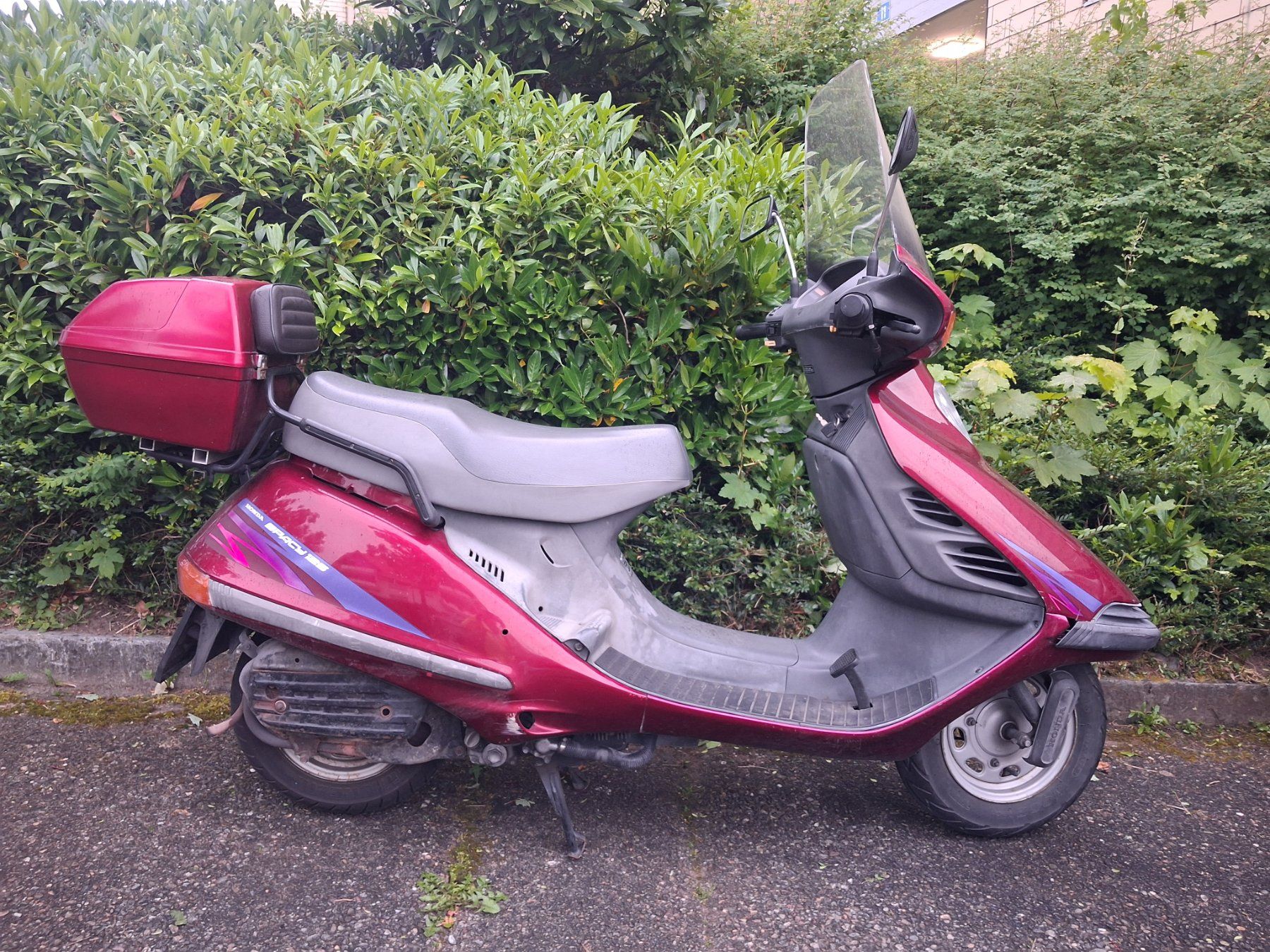 Honda Scooter: Honda Spacy 125 JF03 1996 – Usato da Hochfelden venduto da Hof8571 5