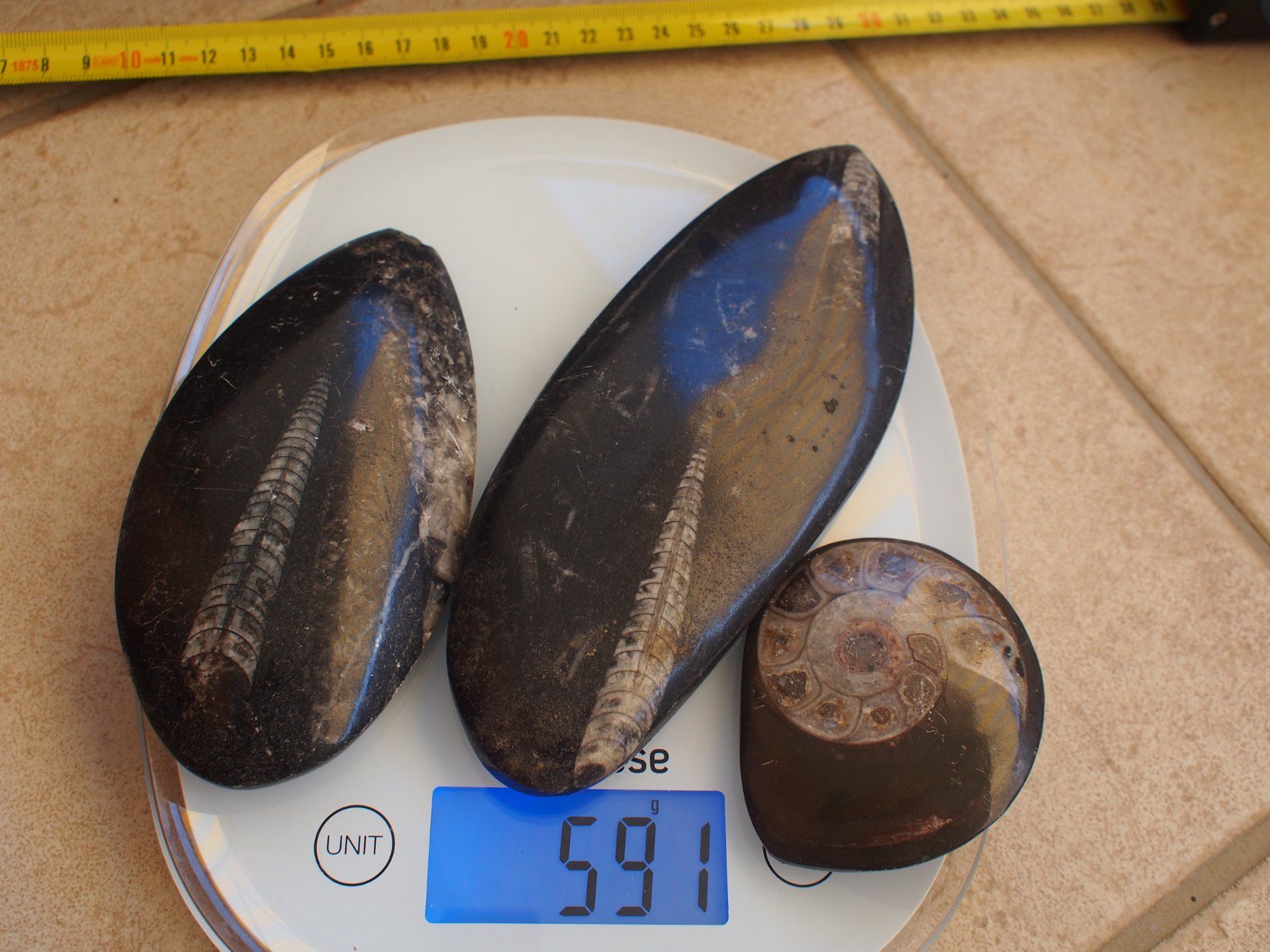 Fossili: 10. lot de 3 grands fossiles polis – Usato da Ovronnaz venduto da Etagne68 1