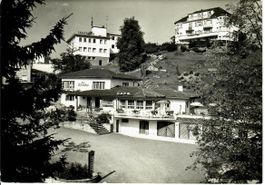 Restaurant zum Winkelstein - Lustmühle St.Gallen