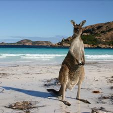 Profile image of wiagohts