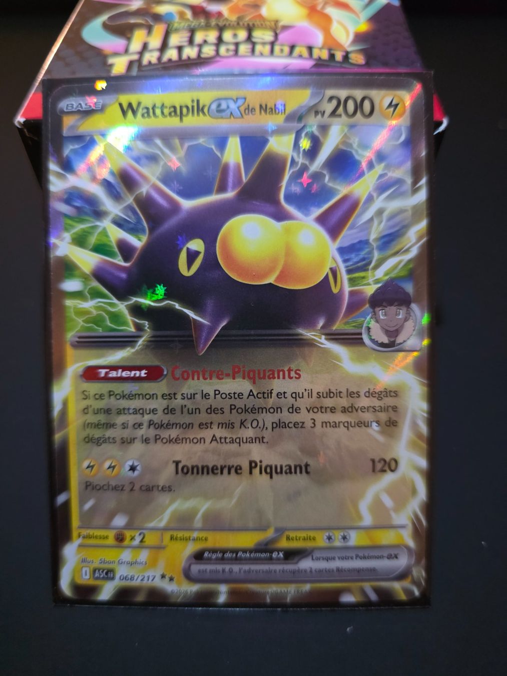 Pokémon Carte collezionabili: Wattapik EX de Nabil Asc 068 – Nuovo (secondo la descrizione) da Le Lignon venduto da NathiumTcg