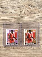 Panini Extra Sticker Alphonso Davies Bronze&Lila🔥