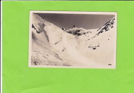 St. Bernard