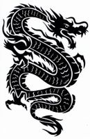 Drachen Aufkleber Sticker 1 Bogen 27 x 18 cm Tuning ST300