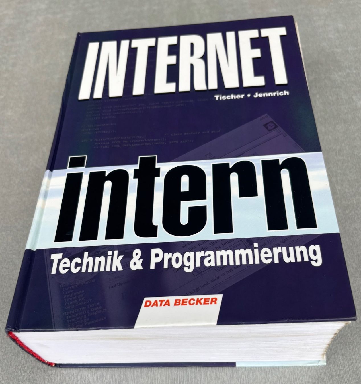 Bücher: Internet intern – Technik & Programmierung - DATA BECKER – Gebraucht aus Bassersdorf von delphino02