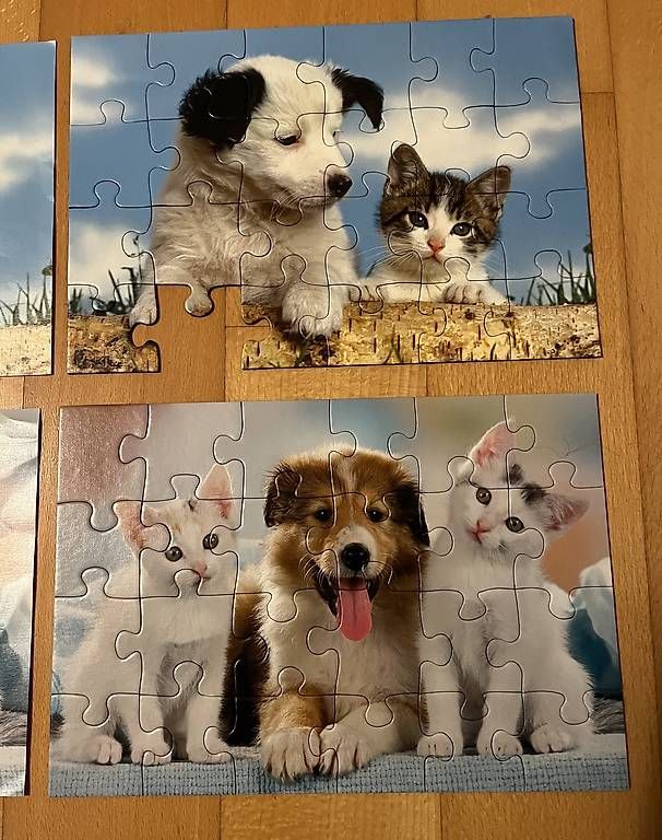 Ravensburger Puzzle: Ravensburger Puzzle 2x24, ab 4 Jahren – Usato da Kirchberg BE venduto da qualle01 1