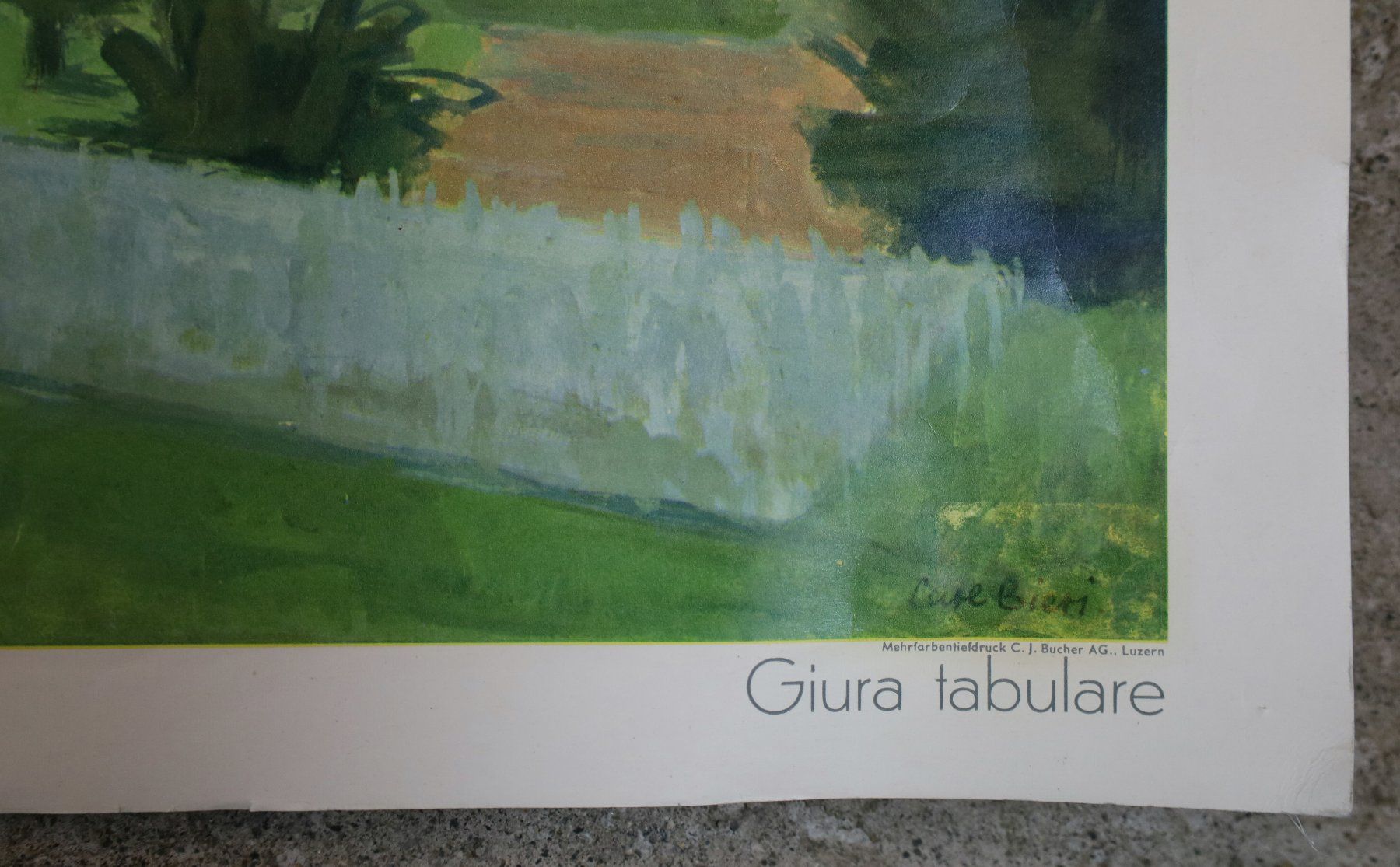 Foto & Immagini: Schulwandbild "Tafeljura" – Usato da Birrwil venduto da brandschatz_birrwil 3