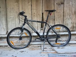 Velo