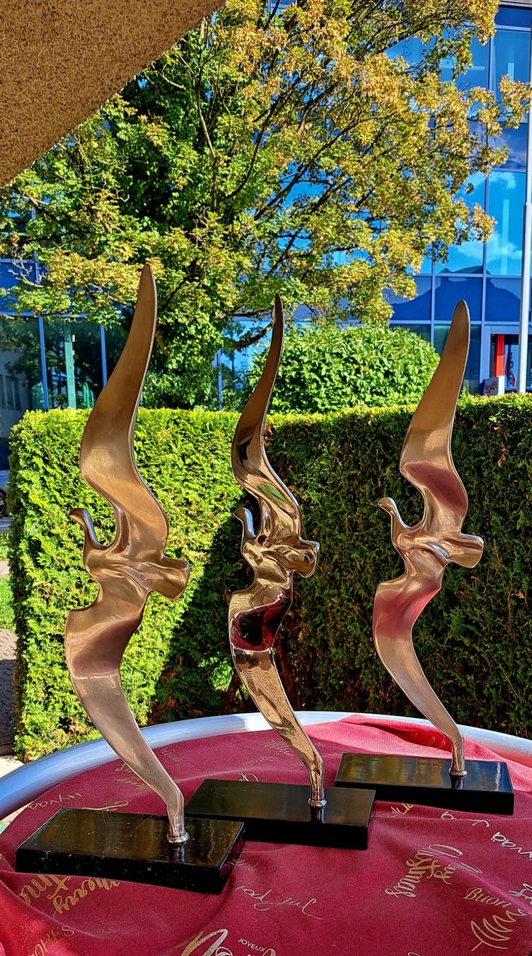 Sculture & Statue: Designer-Skulptur "Flying eagle" handgefertigt – Usato da Egnach venduto da ASTROFRITZ