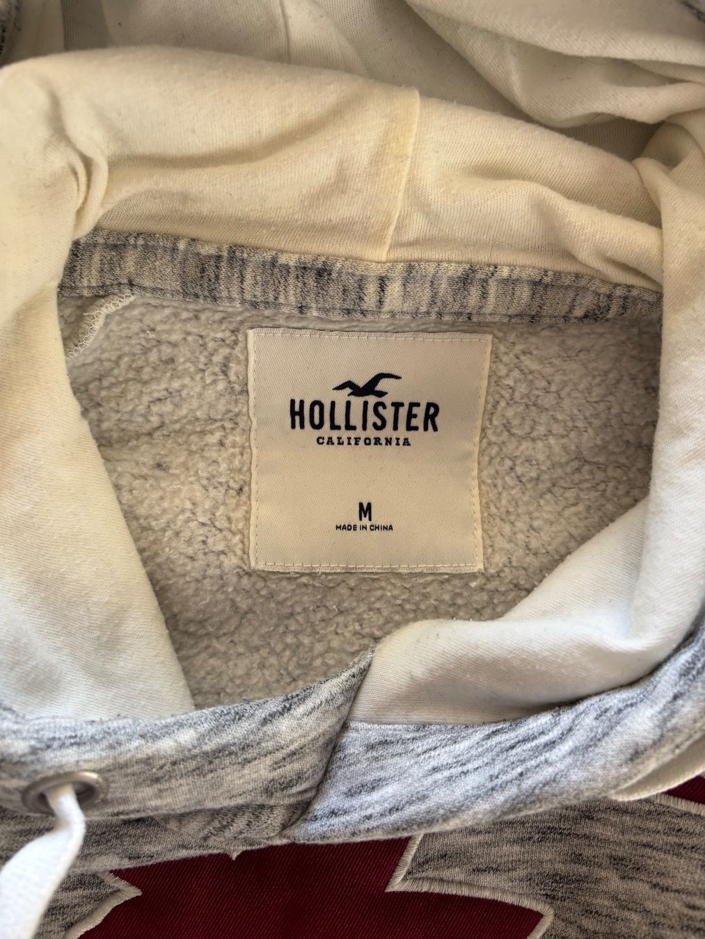 Hollister Maglioni & Felpe: Hollister Hoodie – Usato da Niederönz venduto da deb_tyz9 1